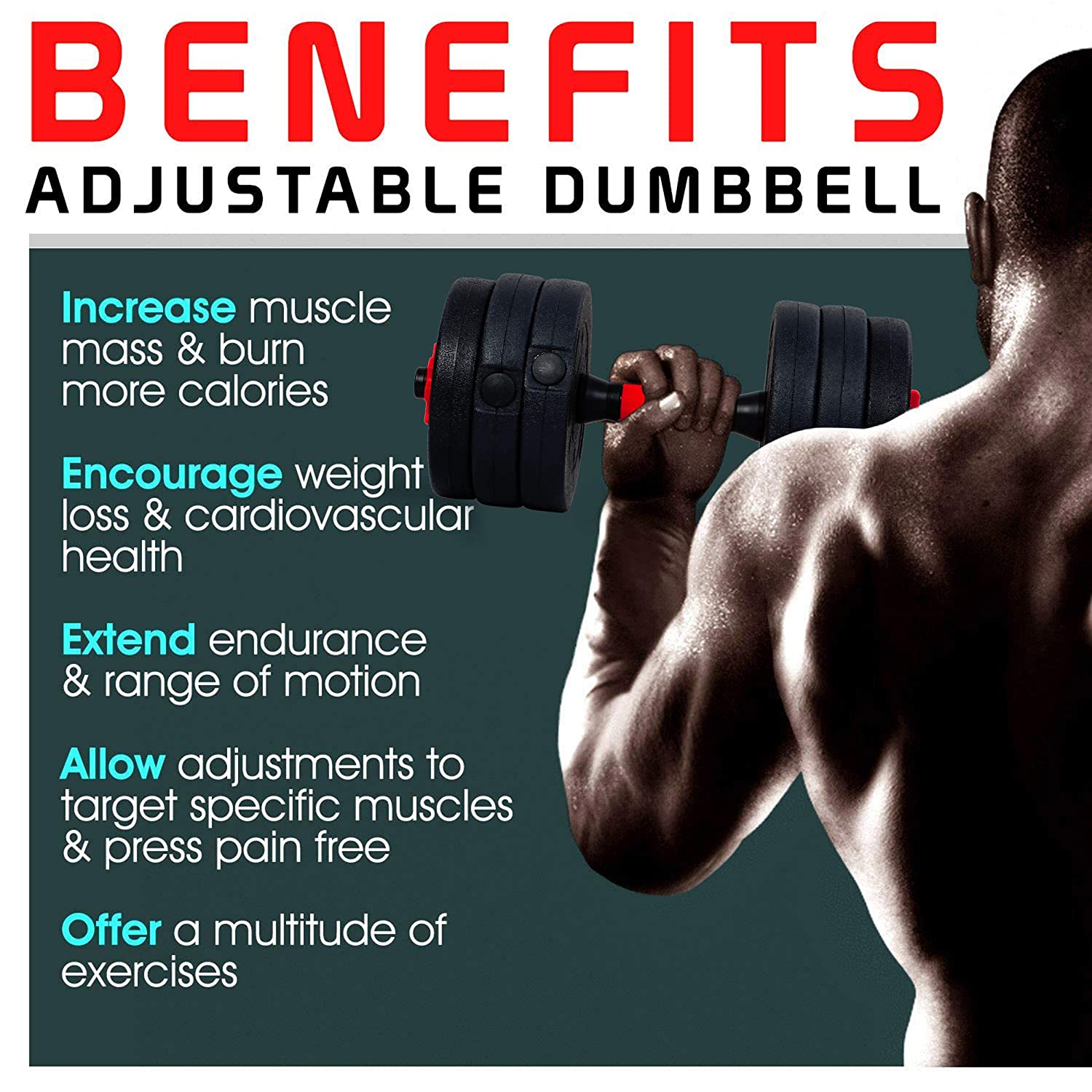 AYNEFY Dumbbell Set 2X Fitness Dumbbell Set Gym Dumbbell Set for Exercise Workout Biceps Triceps Free Weights Training 30KG